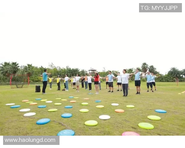 飞盘精神:杭州飞盘队的拼搏与成长之路全景记录