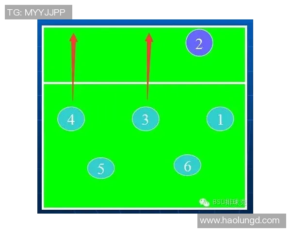 西安排球队在冠军赛中的速度优势与战术解析