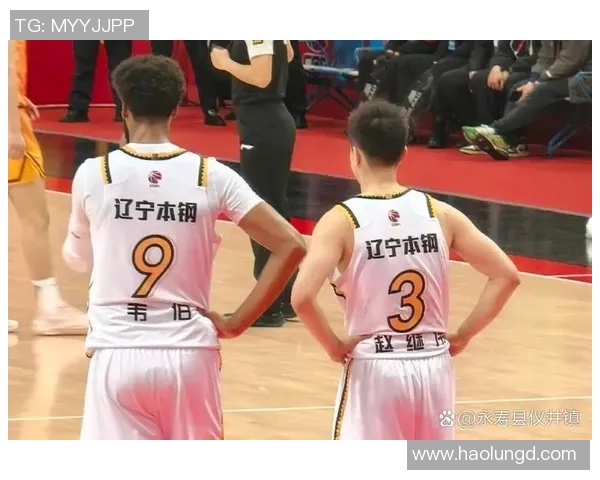 2020年辽宁队与江苏队激战回顾：一场精彩的篮球对决与精彩瞬间的再现