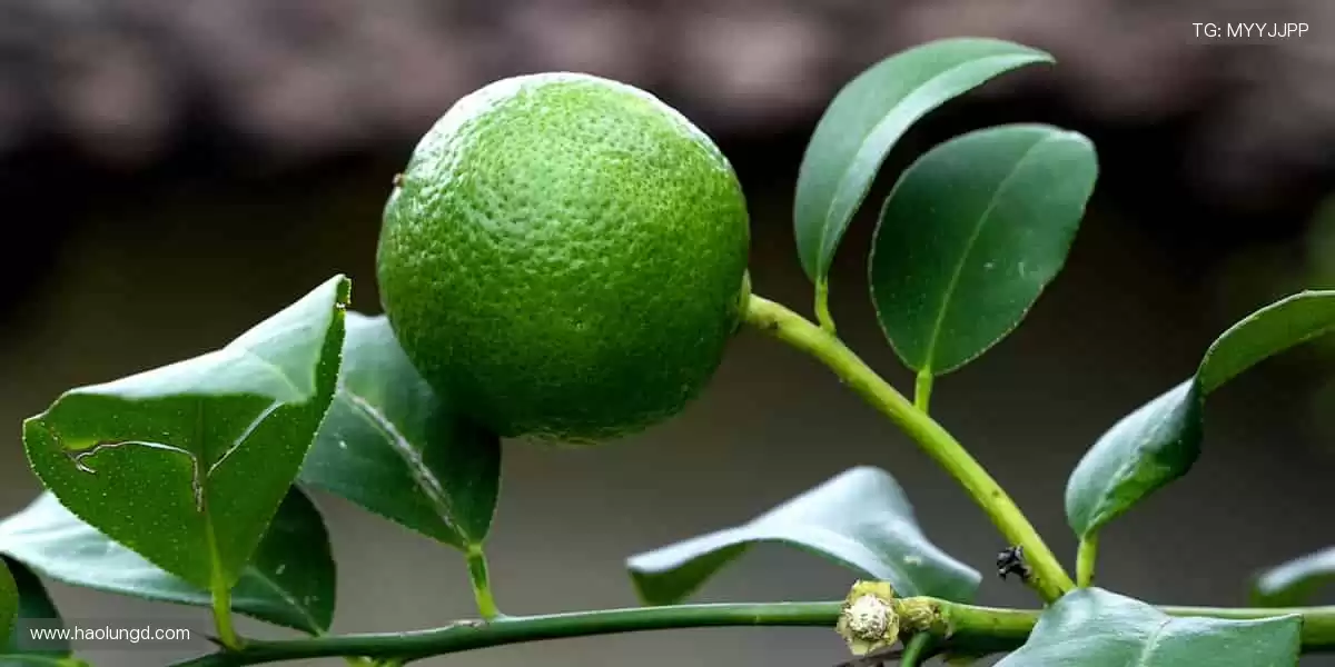 🚀 点击即达，开启你的体育梦想之旅！✨